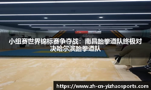 小组赛世界锦标赛争夺战：南昌跆拳道队终极对决哈尔滨跆拳道队